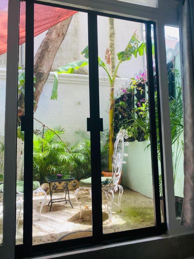 Bed and Breakfast The Quetzal à Cancún Extérieur photo